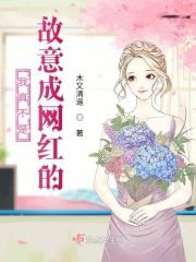 我真的不是故意的歌曲