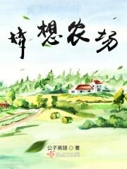梦想农场怎么布置