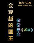 类似于会穿越的国王的