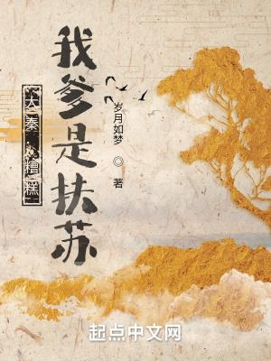 我爹是扶苏倒序