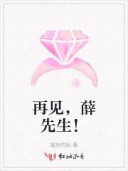 再见薛先生爱冷的风