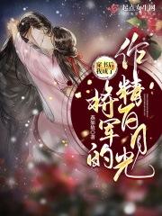穿书后成了将军的心尖肉txt