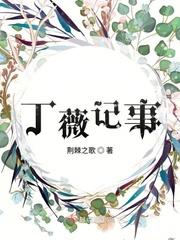 丁薇记事全文阅读