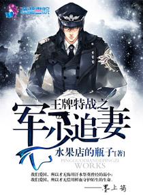 王牌特战之军少追妻乐文