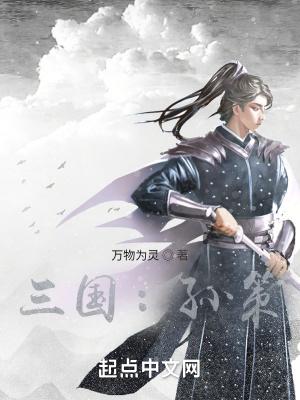 三国孙策