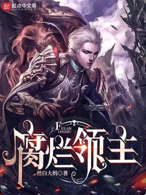 破坏领主进不去了