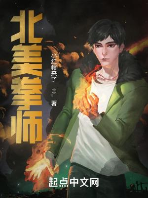 美国拳击教学视频中文版