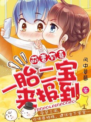 一胎二宝第一季