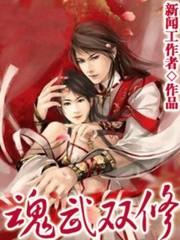 魂武双修动漫