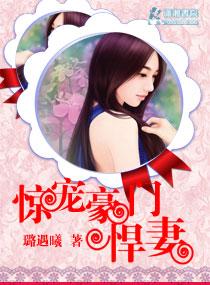 豪门之惊婚娇妻有毒