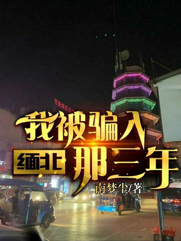 我被骗入缅北那三年 南梦辰