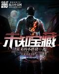 未发现宝藏