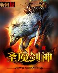 魔剑与圣剑