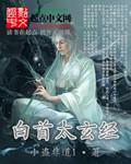 白首太玄经有声