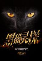 黑猫警长探案记的故事