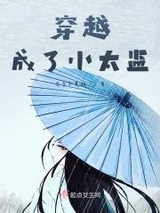穿越成小太监芳华夫人的