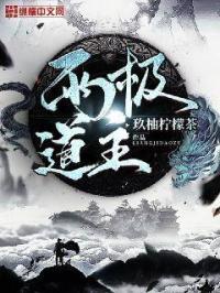 两极什么意思?