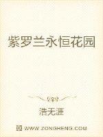 紫罗兰永恒花园免费观看完整版中文版