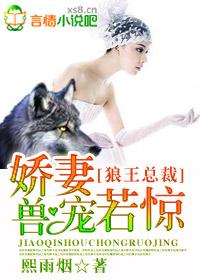 狼总裁的娇宠 在线