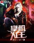 掌机王plus pdf