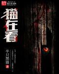 猫在看病路上跑了怎么办