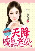 天降萌宝腹黑总裁冷傲妻