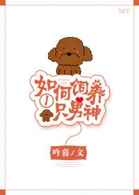 如何喂养一只主角 百度