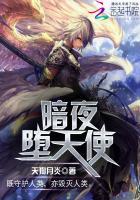 暗夜天使的意思