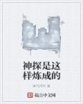 神探的简介