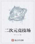 二次元队伍