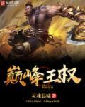 巅峰权力后续