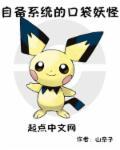 口袋妖怪带系统