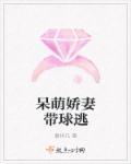 呆萌小娇妻 总裁宠上天