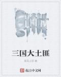 三国土匪系统