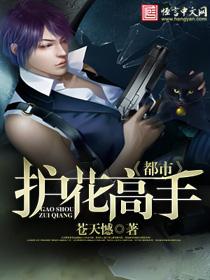 都市护花高手刘天瑞唐小小
