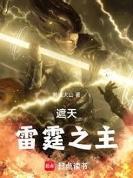遮天雷劫