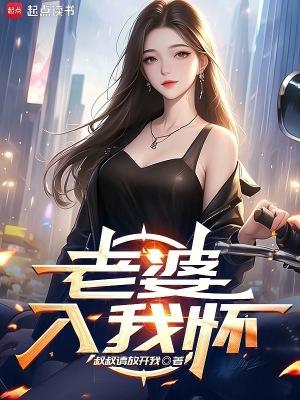 老婆入我怀全文免费TXT