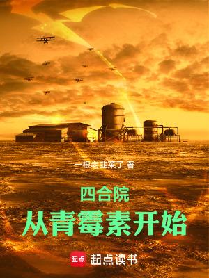 四合院从青霉素开始无弹窗