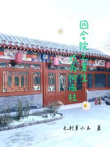 重生四合院我是何晓