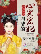 四爷的心尖宠妃123