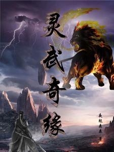 灵武官网
