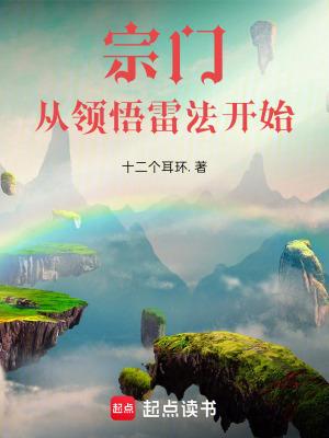 宗门从领悟雷法开始最新