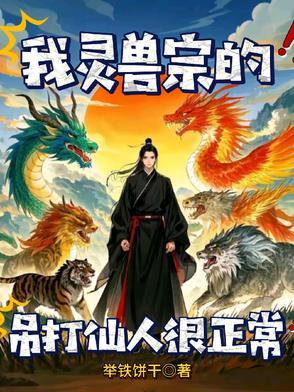 灵兽对战