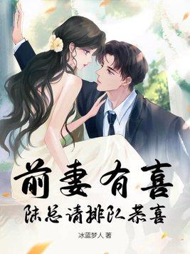 前妻有喜陆总请排队恭喜