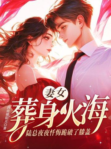 陆总追妻火葬场陆牧野