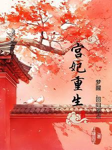 宫妃重生后嫁给进忠的