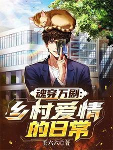 穿越乡村爱情同人