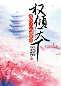免费阅读权倾天下