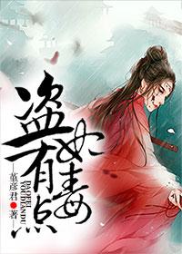 盗妃权倾天下免费阅读