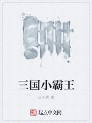 三国霸王大陆
